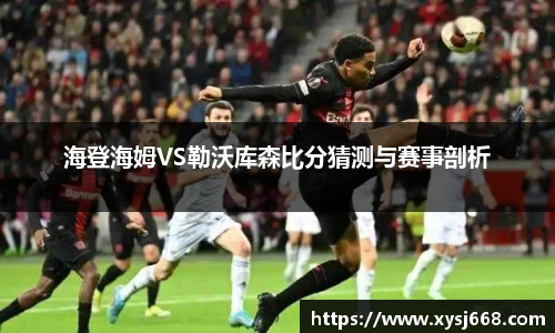 海登海姆VS勒沃库森比分猜测与赛事剖析
